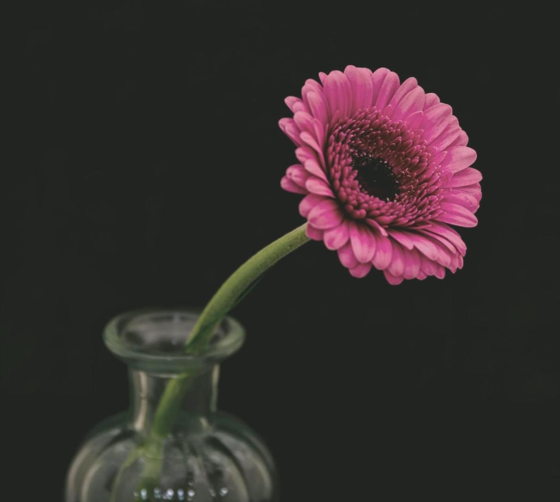 Current workshop space showing professional development programs in action